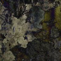 /album/fotogaleria-simbiotic/ii-002-jpg/